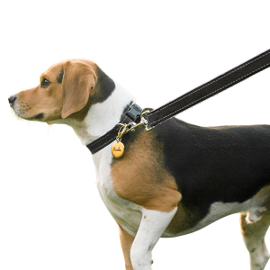 Soft Cotton Reflective Dog Leash
