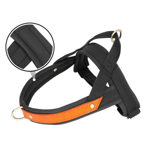 Padded Dog Harness - No Pull