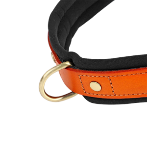 Padded Dog Harness - No Pull