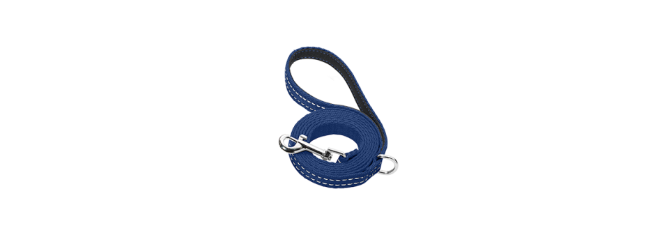 Leashes
