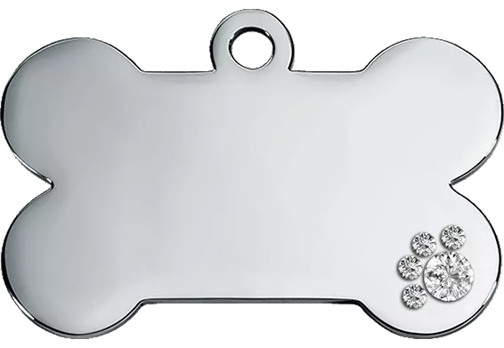 copy of Bone Silver Dog Tag