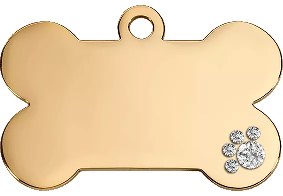 copy of Bone Gold Dog Tag